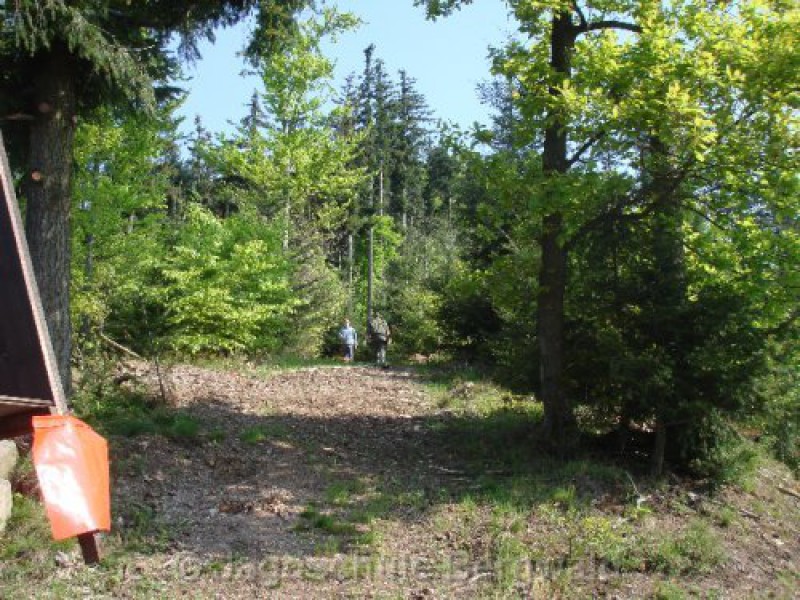 Hochsitzbau mit anschliessendem Grillen | Jagdschule Bergwald im