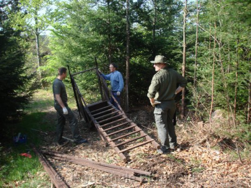 Hochsitzbau mit anschliessendem Grillen | Jagdschule Bergwald im
